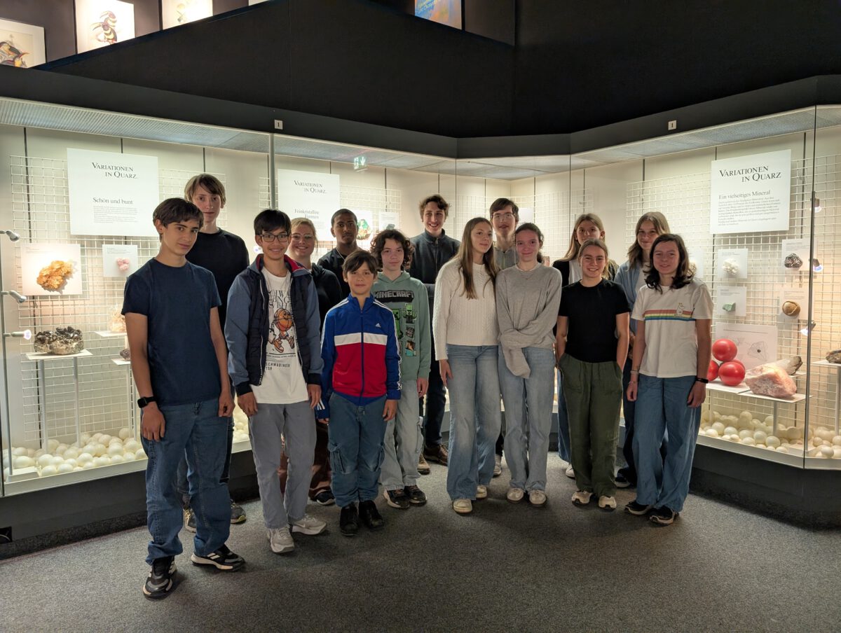 Workshop zu den 17 SDG im Museum „Mensch und Natur“